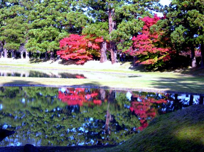 先年東北の紅葉を尋ねた<br />３泊４日ののんびり旅であつた<br />東北の紅葉はスケールが大きい<br />山々は全山紅葉また黄葉．．．<br /><br />花巻空港からレンタカーに乗って．．．<br /><br />．平泉中尊寺→毛越寺→鳴子峡→栗駒→花山温泉<br />．松島→瑞巌寺→仙台城→宮崎球場→広瀬川→秋保温泉<br />．秋保大滝→吾妻冨士→吾妻スカイライン→土湯温泉<br />．裏磐梯→沼巡り→野口記念館→鶴ケ城→白虎隊→福島空港