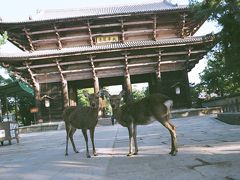 興福寺・南円堂特別拝観に行ってきました