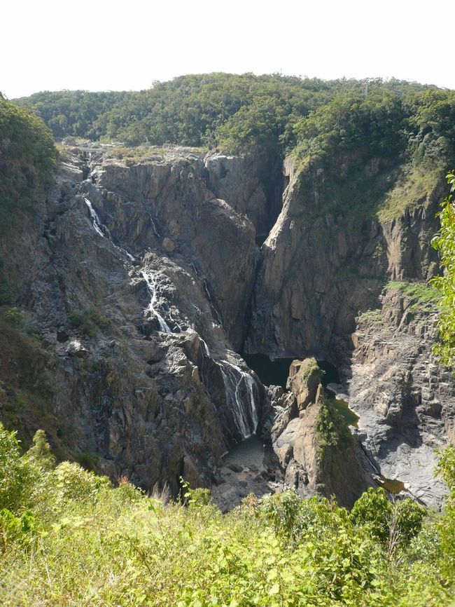 夏のケアンズ旅行からもうかれこれ３ヵ月。<br />記憶がだいぶあやしくなってきたような・・・。（汗）<br /><br />いやぁ〜最近の円高でオーストラリアドルがかなり値下がりしてビックリ。う〜ん、今だったら、これ食べれたなぁ〜、あれも食べれたぁ〜と思いをはせてます。（笑）<br /><br />さぁ！この日はキュランダへ！<br />キュランダ鉄道＆スカイケーブルでキュランダへ！<br />・・・の計画だったんですが、当時のあまりの物価の高さに<br />家族４人で５〜６万円也・・・。（汗）<br /><br />ということで、結局レンタカーで行くことに・・・。<br />ぜひ見てみたかったバロン滝〜車でウロウロ迷いつつ、なんとか行くことできて良かった〜です。