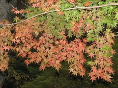 晩秋の風景を求めてサイクリング?多福寺