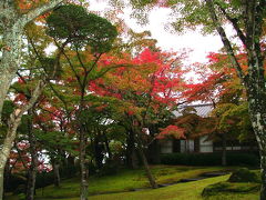 １１月９日現在の　箱根美術館庭園の紅葉