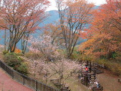 桜と紅葉が見たいと（神川町・城峯公園）に行ってきました