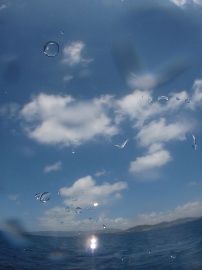 たっぷり楽しんだ石垣島ダイビングの最終日<br /><br />そして<br />帰宅日です・・・<br /><br />