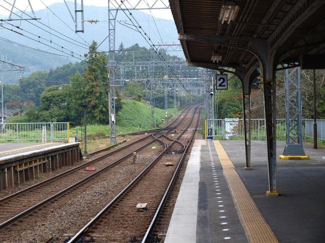 室生寺を堪能した後、近くの長谷寺にもお立ち寄り。<br />ここは昔、亡父と一緒に訪れたことがある。<br />当時家族は出雲に暮らしていたが（annakは住んだ事なし）ある日京都に行くのでついでに室生寺にも行こうと誘われた。<br />牡丹が満開だったことだけ鮮明に覚えているが、父はきっと牡丹が見たかったのだ。<br />当時の父の年になり感じるに、その時は結構annakペースだったな、もっと父のペースで牡丹を見せてあげればよかったと・・・<br />（京都に来たのでついでにという距離ではなく、きっといろいろ話もしたかったんだろう）<br /><br />ひとり旅でちょっとおセンチになりましたが、素晴らしい秋がありました。<br />