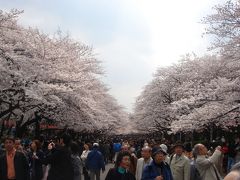 おいしいものは東京にある！！