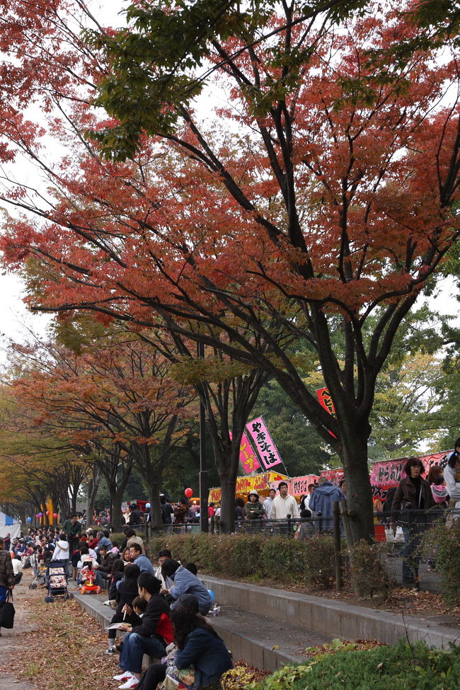 すっかりノーマークだった岩槻のやまぶきまつりにいってきました。やまぶきまつりっていうのは、山吹の花の祭りではなく、産業祭が名前を変えてやまぶきまつりになったとのこと。<br /><br />大人も子供も楽しめちゃうイベントです(^o^)/<br /><br />地図はこちら<br />http://maps.google.co.jp/maps/ms?ie=UTF8&amp;hl=ja&amp;msa=0&amp;msid=118327137333806382304.000443335402ce5f4b62e&amp;ll=35.944538,139.722297&amp;spn=0.00694,0.009248&amp;z=17<br />