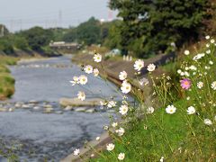 滝の城此から金山公園