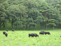 盛岡周辺温泉旅行。。。その５「小岩井農場」