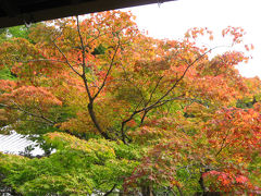 泉涌寺の御座所庭園    KYOTO - Shosenji