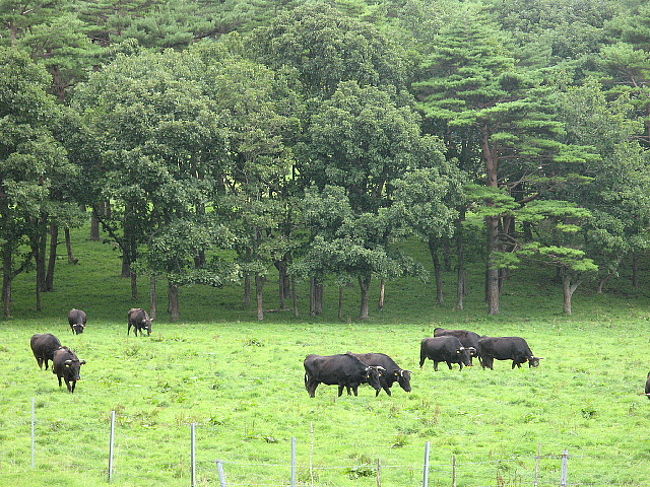盛岡周辺温泉旅行 その５ 小岩井農場 小岩井 岩手県 の旅行記 ブログ By F Sさん フォートラベル