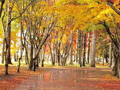 ◆見晴公園（香雪園）の散り紅葉　青森・函館フリーきっぷの旅　函館編