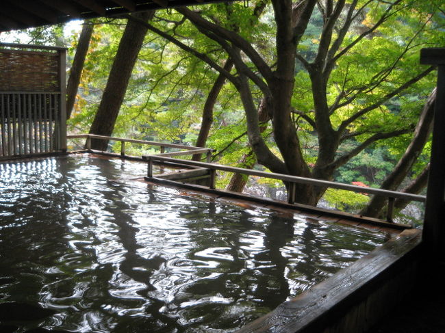 熟女6人で、紅葉を期待して、新城市の湯谷温泉に行ってきました。まだ、ちょっと早かったみたい。11月中旬〜下旬かな?