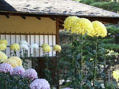 ひとり旅 [400] 出勤途中のミニミニ散歩＜縮景園菊花展?＞広島県広島市