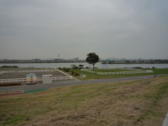 2008年11月　自転車で行ってみようかな　亀戸、江戸川　周辺