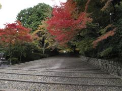 静寂の光明寺～正法寺へ