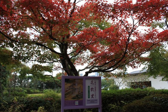 宇治上神社の観光を終えた後は、近くにある「宇治市源氏物語ミュージアム」まで行ってみました。<br />こちらもＪＯＥＣＯＯＬさんとご一緒させていただきました。<br /><br />今年は紫式部が源氏物語を執筆してから、ちょうど１０００年にあたると言われており、それに伴って京都を中心に各地で様々なイベントが行われています。<br /><br />私たちが今年に入り京都の観光を始めて以来、何ヵ所かの寺院で千年紀に関連した展示物などを観てきましたが、実は私たち「源氏物語」をよく知らないのです。<br /><br />この日も少しは予習をしておけば、ミュージアムで楽しむことができたのかもしれませんが、そもそもミュージアムがあることすら知らなかったので、今回は見学をしませんでした。<br /><br />そうそう、トイレだけお借りました（*^_^*）<br /><br /><br />◎宇治市源氏物語ミュージアム<br /><br />住所　京都府宇治市宇治東内４５−２６<br />電話番号　０７７４−３９−９３００<br />開館時間　９：００〜１７：００<br />休館日　月曜日・年末年始<br />観覧料　５００円<br />公式ＨＰ<br />http://www.uji-genji.jp/<br />