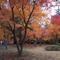 紅葉の韓国旅行～２日目：慶州へ