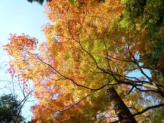 山中温泉から白山へ・紅葉を！