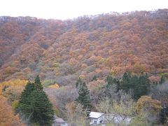 紅葉が降り注ぐ温泉　湯西川へ。