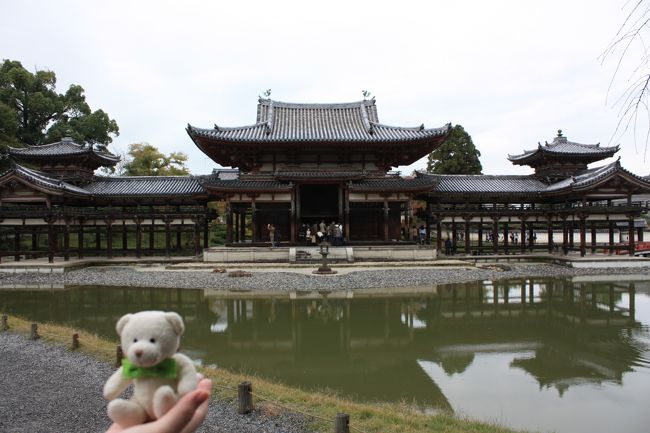 京都世界遺産めぐり?　「平等院」<br />１９９４年に古都京都の文化財として世界遺産に登録された。<br /><br />言わずと知れた１０円硬貨に描かれた平等院鳳凰堂、一万円札には鳳凰堂の屋根上に飾られている鳳凰がデザインされており、我々にとって馴染みの深い寺院です。<br /><br /><br />◎国宝<br /><br />鳳凰堂<br />木造阿弥陀如来座像<br />木造雲中供養菩薩像　５２駆<br />鳳凰堂壁扉画（へきひが）１４面<br />木造天蓋<br />金銅鳳凰　１対<br />梵鐘<br /><br />◎重要文化財<br /><br />観音堂<br />木造十一面観音立像<br />養林院書院<br /><br /><br />拝観料　６００円<br />鳳凰堂特別拝観　３００円<br />
