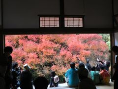 色づいた安国禅寺のドウダンツツジ