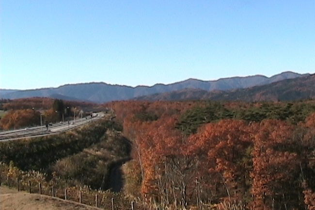 昨年10月13日ごろ・黒部渓谷に行って・・全然紅葉なしで・がっかりして帰ってきたので・・今年はねらってみましたGU！でした・<br />東海北陸自動車（（初飛騨トンネルを抜けて・ながーーいトンネル））<br />　　　↓<br />五箇山下車<br />　　　↓<br />井波の彫刻の里で・欄間の見学<br />そして・瑞泉寺へ（（立派な真宗大谷派のお寺でしたd(ﾟ-^*) ♪<br />　　　↓<br />神通峡へ行き<br />　　　↓<br />PM4時宇奈月温泉へ<br />また・宿は予約せずに来たので・携帯のじゃらんから<br />今晩泊まれるホテルを検索・そして・ホテルの前で予約<br />（（ホテルの外観を見て決めました（（<br />フィール宇奈月でした・・・