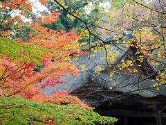 紅葉の三千院へ行ってきました