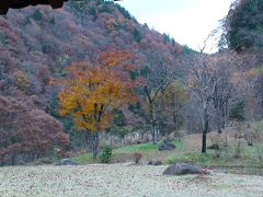 せせらぎ街道の紅葉と黄葉