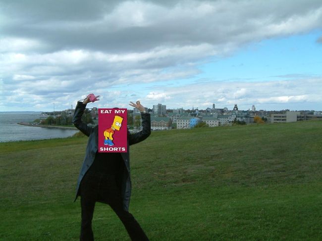 View from Fort Henry;<br />Fort Henryから見たKingstonの街