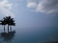 又兵衛とぷよぞうハネムーンへ行く　の巻（ハワイ島編?）