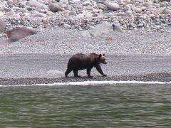 北海道旅行（４）　知床クルージング