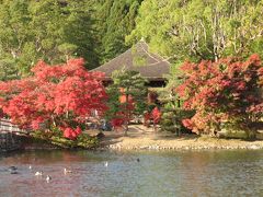 晩秋の福島・いわき市付近を訪ねて?願成寺・白水阿弥陀堂境域の浄土庭園