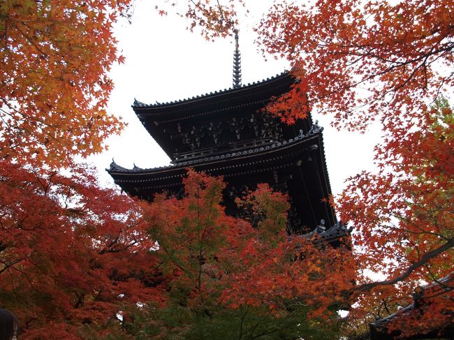 憧れていた紅葉の京都へ行ってまいりました。<br />京都を訪れるのは５回目ですが、この季節に訪れるのは初めてで、とても楽しみにしていた反面、どのくらい混雑しているのか少しドキドキしながらの旅となりました。<br /><br />残念ながら仕事を休めない旦那をおいて、またまた実家の母との二泊三日旅行です。<br /><br />一日目、南禅寺、永観堂を見学したあとは金戒光明寺、真如堂、法然院へと足を運びました。