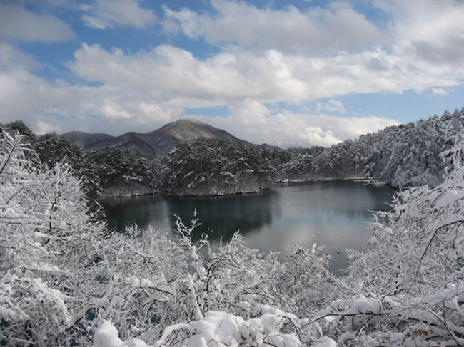 11月19日、以前から行ってみたかった五色沼へ。<br />天気予報ではかなり寒くなりそうだったので、準備万端で、朝早く初めての東北新幹線に乗り、郡山経由猪苗代へ行きました。<br />駅前からバスでホテルまで行こうと見回すと、予約したホテルの送迎バスが来ていました。紅葉も終って観光客もなく、運転手さんがこの付近の話を色々してくれました。<br />ホテルに到着後、荷物を置いて早速五色沼へカメラを抱えて出発しました。<br />昨夜からの初雪で20cmも積もり、歩くのが大変でしたが、時々陽が差してくれたので、その景色の素晴らしさに見とれていました。お昼過ぎなのに、誰も歩いていない遊歩道の雪を踏みしめて歩くのは、とても嬉しいものでした。<br />3時過ぎ頃、曇って薄暗くなってきたので、磐梯高原の桧原湖からまた来た道を戻ることにしました。<br />この辺りは温泉が湧き出ているので、五色沼は凍らないそうです。<br />3月末頃にまた来てみたいと思いました。春の息吹が感じられるかもしれないと。