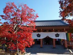 2008.11 紅葉の京都旅行?～智積院・清水寺～（番外編：妻の旅）