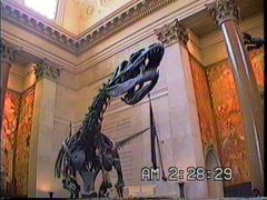 ニューヨークで恐竜に遭う