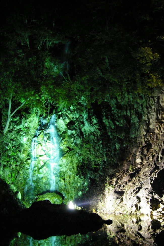 栗林公園秋のライトアップに行って参りました。<br />一眼デジを買って初めての夜景撮影。<br />ここに来たのは子供の頃以来だけど相変わらず綺麗な庭園(&#39;-&#39;*)<br />秋のライトアップというので紅葉を期待して行ったのですが思ったよりも少なくて残念。<br />でも緑のライトアップが綺麗だったので満足です。