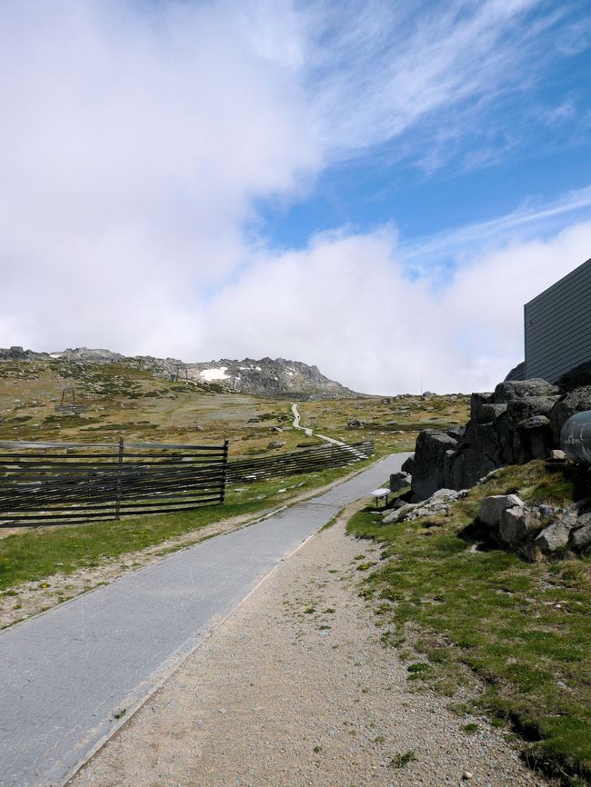 Mt Kosciuszko （コジオスコ）は、オーストラリア大陸の最高峰2228m（七大陸最高峰）です。コジオスコ国立公園の中心地にあります。また、この山を中心とする地域は、スノーウィー・マウンテンズと通称され、冬季にはオーストラリアの主要なスキーリゾートとして知られている。ポーランドの探検家が、ポーランドとリトアニアの英雄タデウシュ・コシチュシュコにちなんで、1840年に名付けました。<br /><br />【アクセス】<br />メルボルン→Thredbo(スレブド）約545km/6時間30分<br />キャンベラ→Thredbo(スレブド）約210km/3時間<br />*Thredbo(スレブド）を基点としたMt Kosciuszko（コジオスコ）頂上までのトレッキングの場合<br />*Googleによるマップ：http://maps.google.co.jp/maps?ie=UTF8&amp;ll=-36.484245,148.137589&amp;spn=0.400257,0.615234&amp;t=h&amp;z=11<br /><br />【トレッキングルート】<br />ルート：Thredbo(スレブド）⇔Mt Kosciuszko（コジオスコ）頂上2228m往復コース<br />*リフトを使った最短登頂コース<br />距離＆所要時間：往復約13km/約4時間から5時間<br /><br /><br />