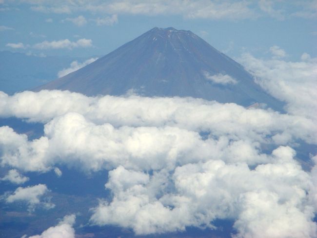 不思議と富士山は春から秋までは空気の澱みと、今年は特に空一面雲一つで山頂すら確認できない事がとても多く続きました。<br />但し、個人的には富士山はやはり山頂に雪が被ってこそ　富士山らしく見えるようです。一年中富士山を撮り続けていますが　一番綺麗なのは１月６日頃の晴天の羽田伊丹便が良いようです。<br />但し、右側窓側シートがお勧めです。