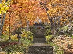 2008紅葉の旅?高山は朝から元気良く