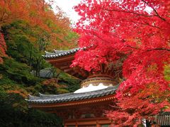 牛滝山　大威徳寺の紅葉