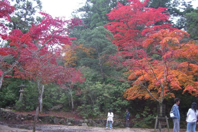 秋（安芸）の宮島