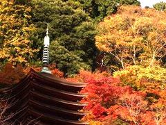 談山神社　2008