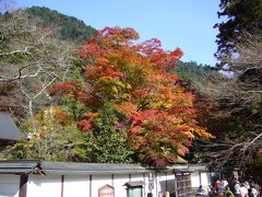 ２００８晩秋の奈良の旅