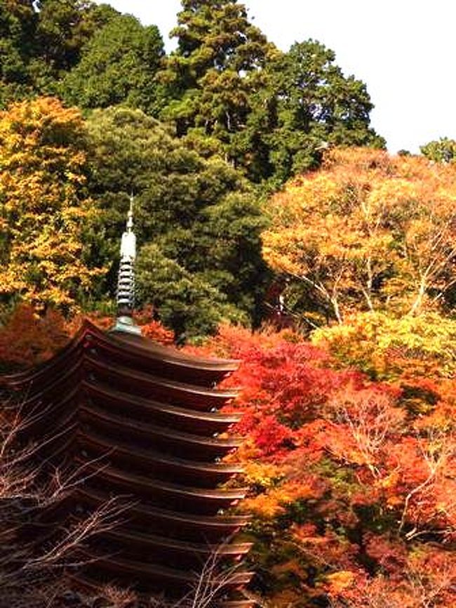 2008年11月<br />談山神社に行ってきました。<br /><br />紅葉が見ごろ、ということで、<br />大変な混雑でした・・・<br /><br />入山拝観料　500円（JAF会員証提示すると50円引き）<br /><br />談山神社は大化の改新、発祥の地らしいです。