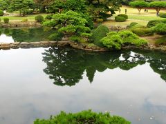 新宿御苑の秋花さがしと旧洋館　☆十月桜・茶の木・ヒボケ・サザンカなど