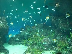 【2008年秋 山口旅行】友達と下関市立水族館～海響館へ