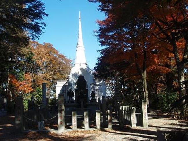 高尾山に登るには3通りのコースがあり、右手の車も通行可能な薬王院参道。左手の富士の眺めの良い稲荷山コース。そして真ん中の最短コースが清滝コース。<br /><br />京都清滝の見事な紅葉を思い出し、今日はこの清滝コースを選ぶが、京都北山に比べたら、ここの清滝は沢の迸り程度の小さな滝であるが、高尾行者の修験道の場所となっていてそれなりに奥ゆかしい。<br /><br /><br />遠くからでも分る清滝権現堂。屋根には落ち葉が重なり合って積もっている。<br /><br />＜　落ち葉重ね　御堂の屋根を　紅く染め　＞<br /><br />時々見かける滝に打たれる行者の姿は今日は誰もいない。連休の初日。敢えて避けているのか。<br /><br /><br />清滝を過ぎた辺り、若いベトナム人の就学生4−5人を追い越す。ベトナム・ホーチミン市（旧サイゴン）から来ていて、いま川崎市の多摩区の会社で研修を受けているそうだ。<br /><br />サイゴンが陥落してもう既に35年以上になるが、彼ら若い青年は皆30歳以下。それでも彼らの口からサイゴンという名前が出てきて、矢張りベトナム人の中にもサイゴンという旧名に郷愁を抱いているのだろうか。<br /><br />丁度それはロシア人がレニングラードの都市名を75年前の旧市名、ぺテルスブルグに戻したような郷愁かも知れない。<br /><br />いまカンボジア、ポルポト圧政下でのカンボジアの悲劇を読んでいるが、そこに関与しているベトナム人に対するクメール人の憎悪。<br /><br />その本の印象からかベトナム人に対してはややわだかまりの気持ちも芽生えた。しかし彼等若者は戦争とは何の関係もない、としても、彼等を見ていると長い民族間の葛藤を考えられさせられるものがあった。<br /><br /><br />見晴台を過ぎて、役の行者小角「神変大菩薩」を祀る「行者堂」にお参りし、いよいよこれから高尾山薬王院の境内へ。<br /><br />最初にあるのが、タイの王室より贈られた仏舎利を祀る「パゴダ」。ここの紅葉も見事であり、紅葉の中に映える白亜の大理石で作られたパゴダの美しさ、コントラストの妙はなんともいえないものである。<br /><br />紅葉も今が一番の季節。紅く染まった木々の樹間に立つ真白のパゴダを見、丁度今の季節に来られたことに感謝した。<br /><br />＜　紅葉を配し　真白の　パゴダあり　＞