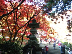 紅葉の箱根(強羅)近辺散策