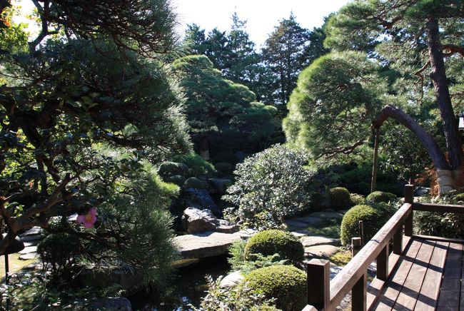 世界が認めた日本庭園～柴又山本亭～